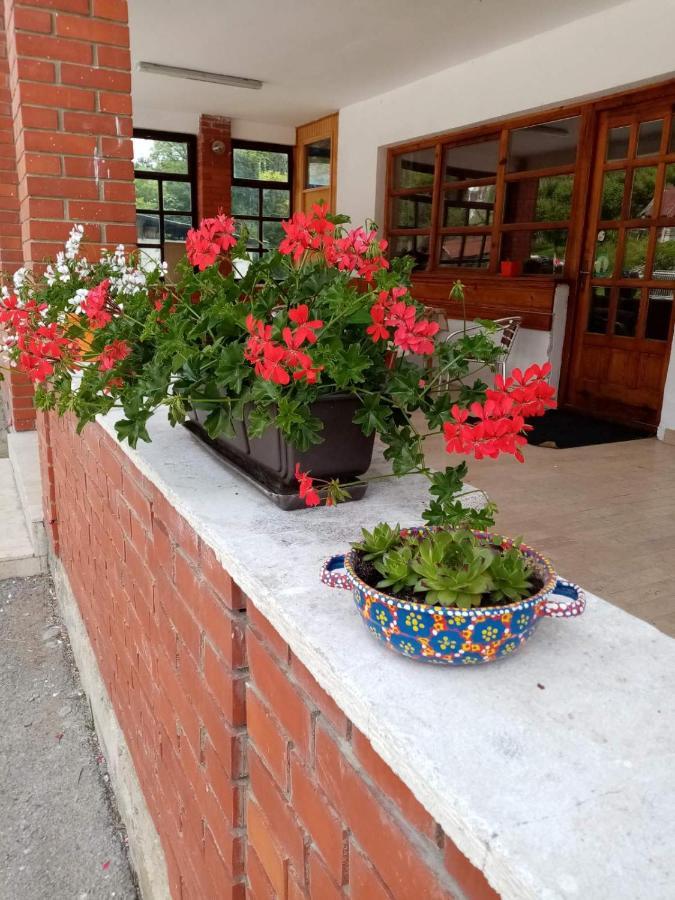 Apartman Dunja I Milos Mokra Gora Exterior photo